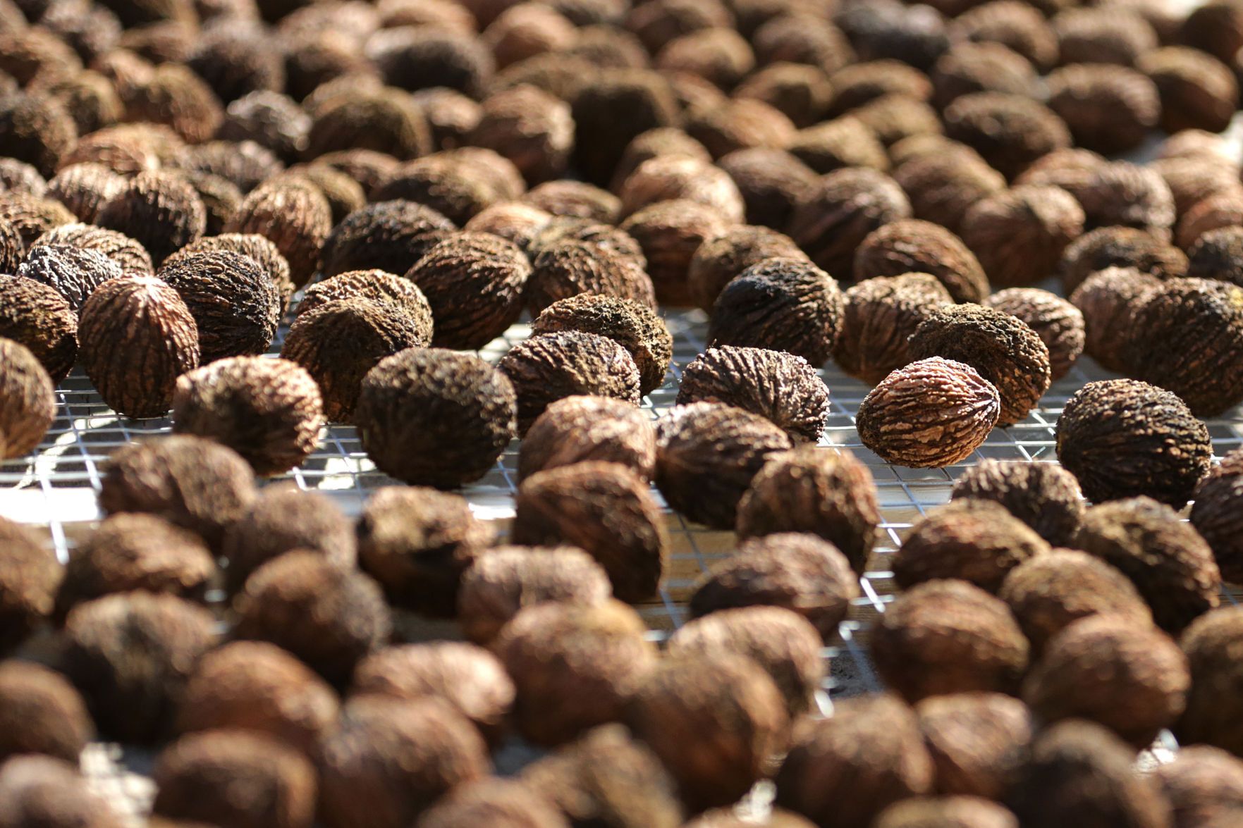 J's Black Walnuts